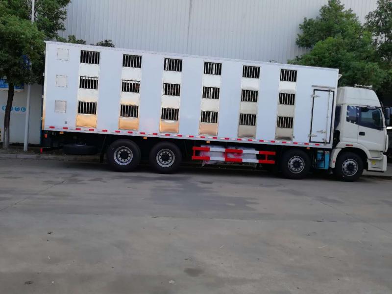 福田前四后八雏禽运输车