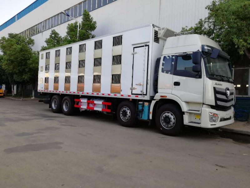 福田前四后八雏禽运输车
